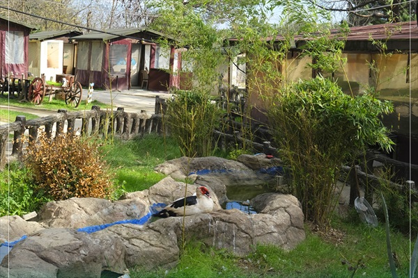 Hill Garden Kemerburgaz Balo
